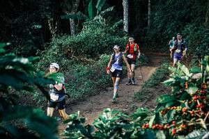 BIB: 
                            <button type="button" onclick="openModal(25813411)" class="btn btn-primary btn-sm float-right btn-popup" data-toggle="modal" data-target=".modal-high-quality">
                        <i class="fas fa-shopping-cart"></i> Add to Cart
                    </button>
                                            <button type="button" onclick="isThisMe(25813411, true)" class="btn btn-success btn-sm float-right btn-popup btn-isme hidden" data-toggle="tooltip" data-placement="bottom" title="นี่คือรูปของคุณใช่ไหม คลิกที่นี่เพื่อเอาเข้าอัลบั้ม">
                        <i class="fas fa-plus"></i> Add to album
                    </button>
                    <button type="button" onclick="isThisMe(25813411, false)" class="btn btn-warning btn-sm float-right btn-popup btn-isnotme hidden">
                        <i class="fas fa-ban"></i> Remove from album
                    </button>